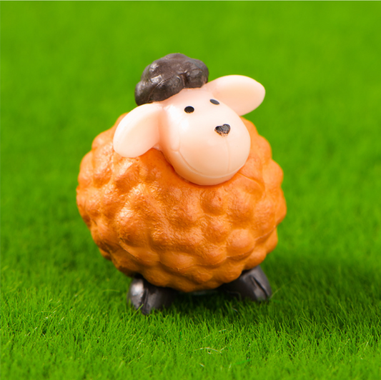 Miniature Sheep