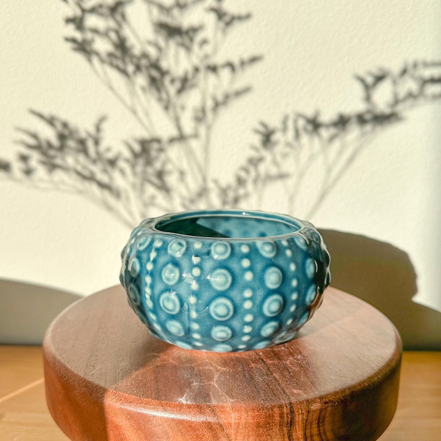 Set of 2 Sea Pattern Succulent Pots