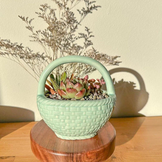 Ceramic Basket Pot