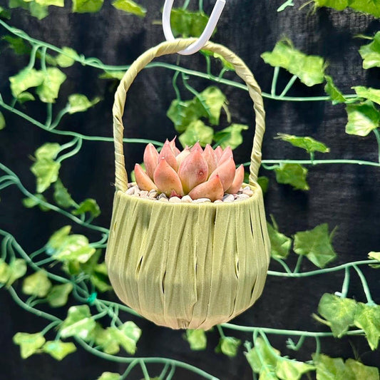 Plastic Rattan Basket Planter