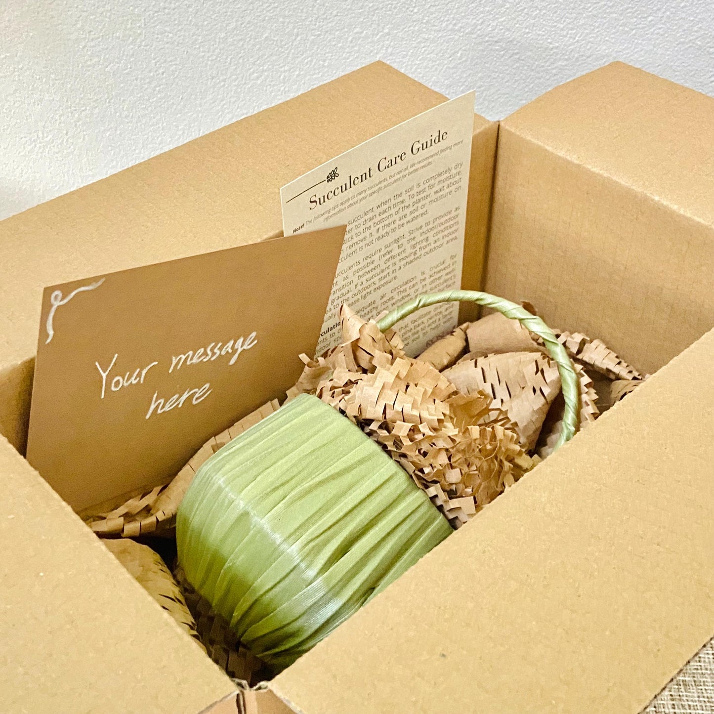 Succulent Gift Basket