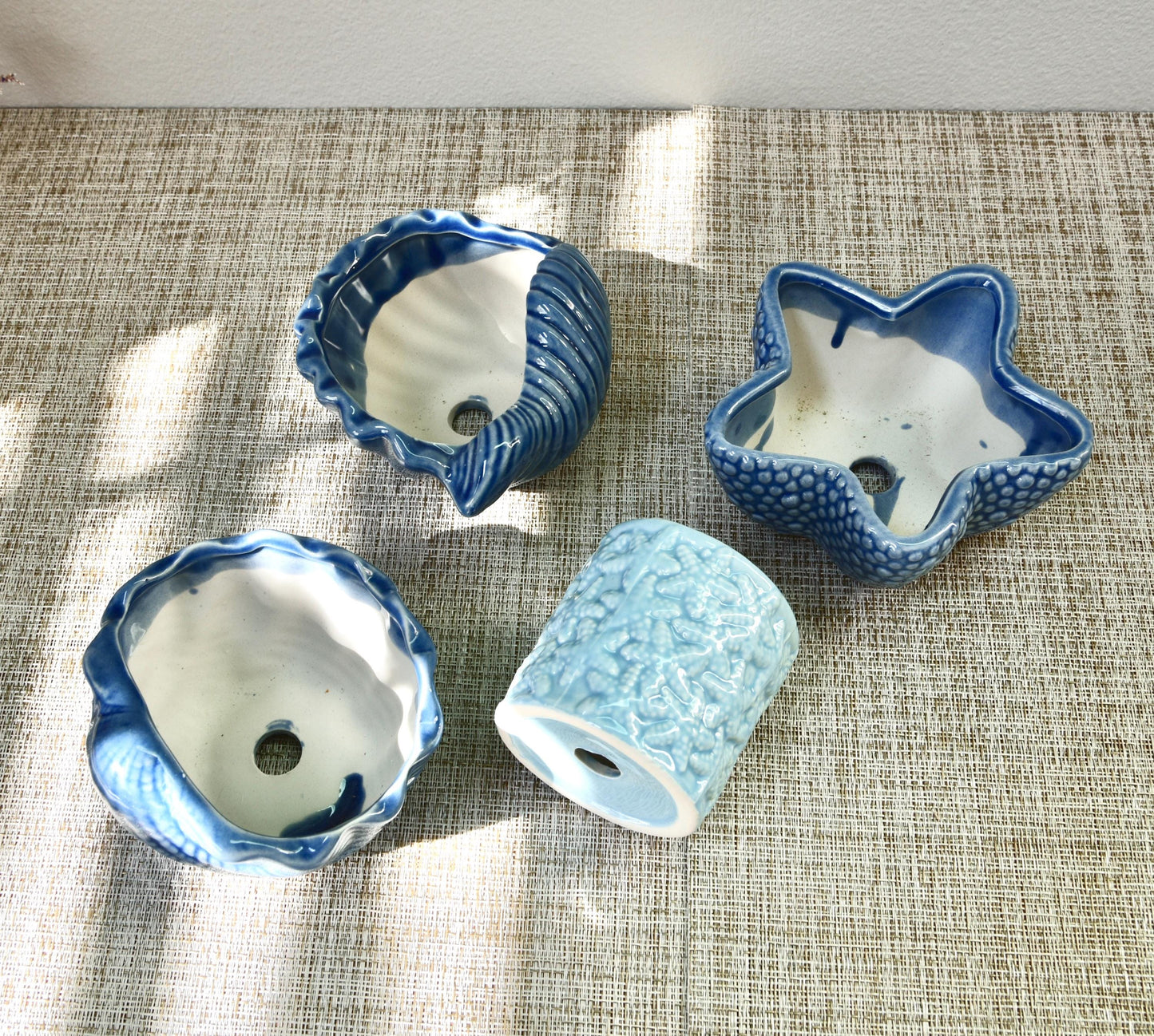 Sea Shell Planter Collection