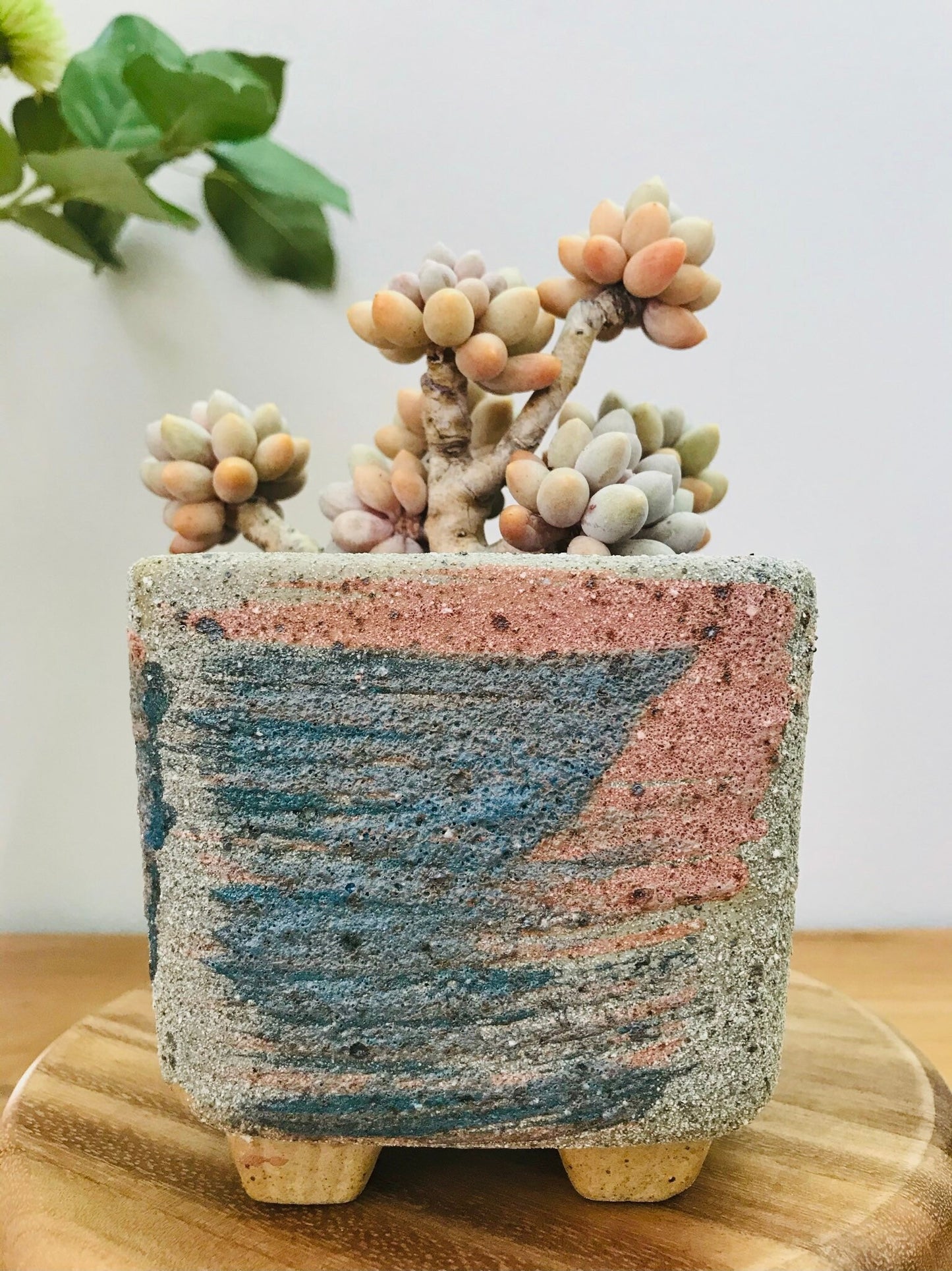 Ceramic Windowsill Pot