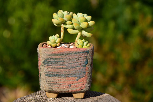 Ceramic Windowsill Pot