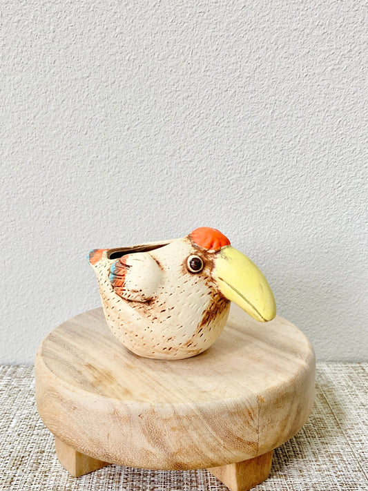 Small Toucan Pot