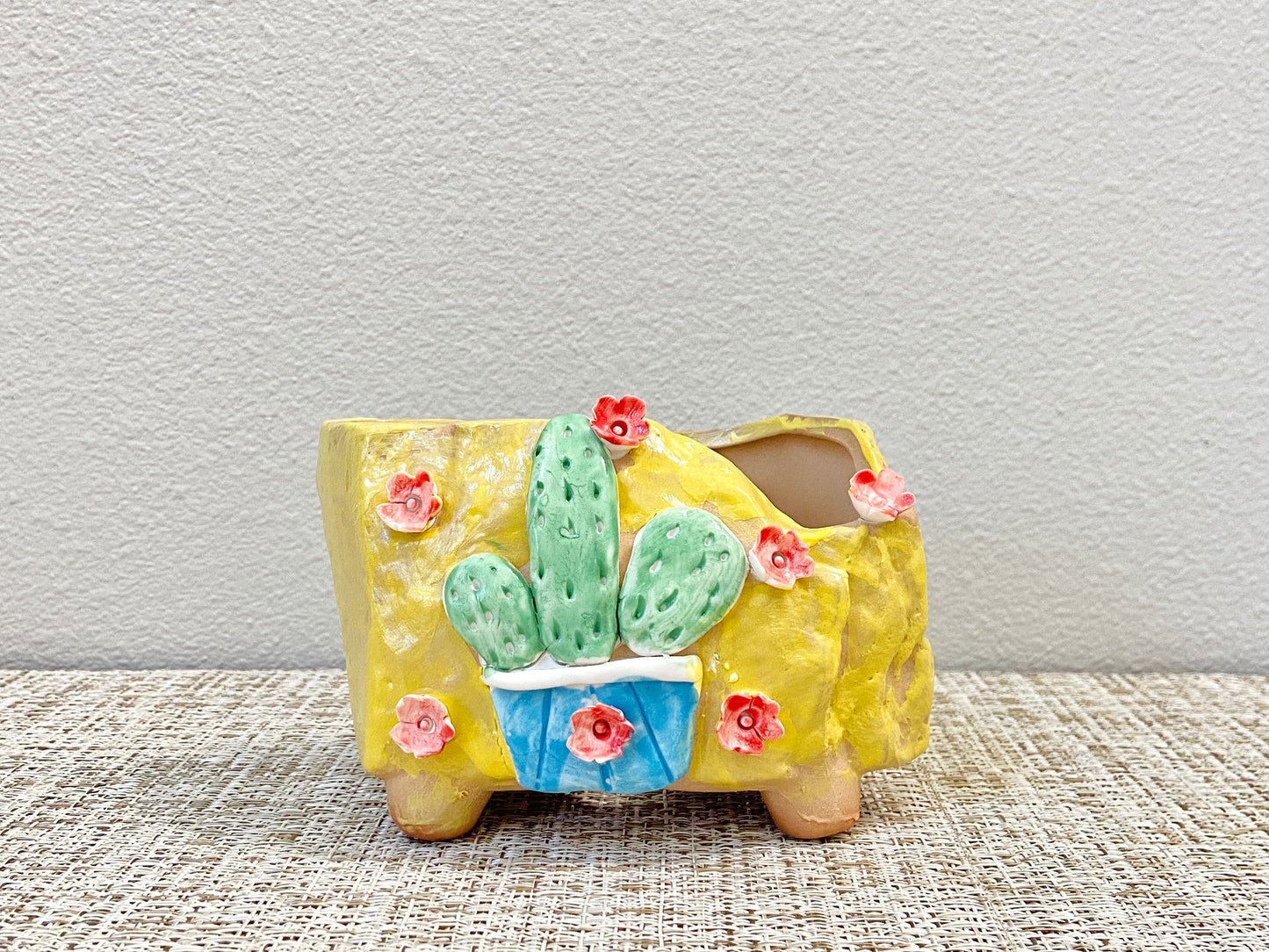 Cactus and Flower Pots