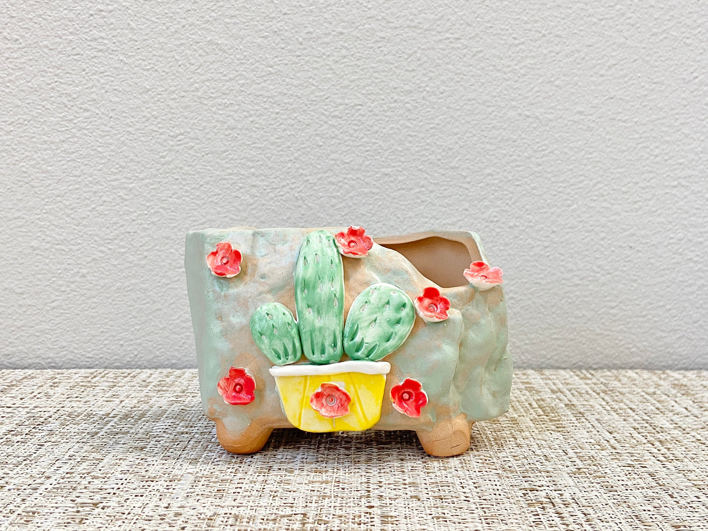 Cactus and Flower Pots