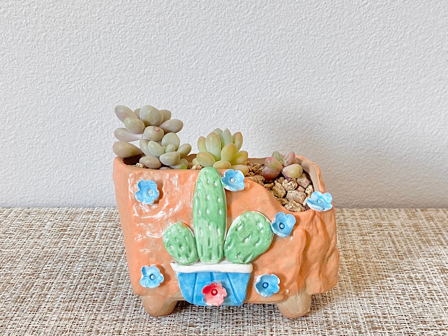 Cactus and Flower Pots