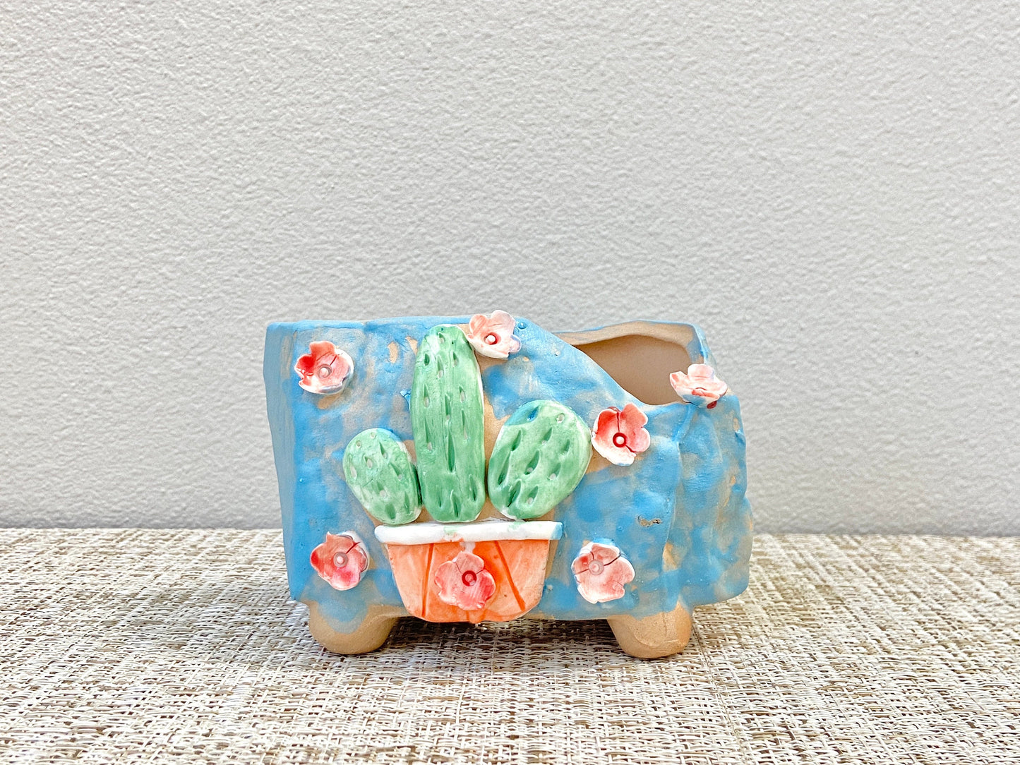 Cactus and Flower Pots