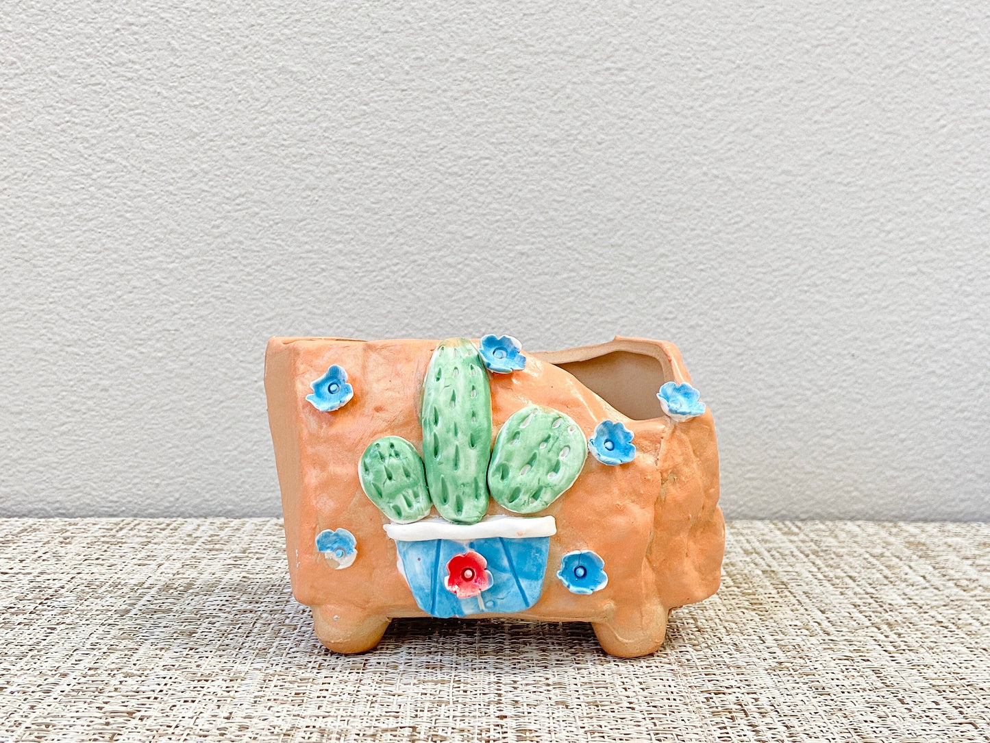Cactus and Flower Pots
