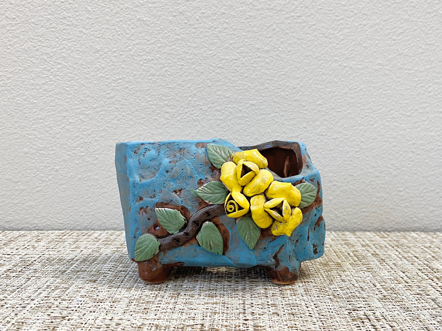 Cactus and Flower Pots