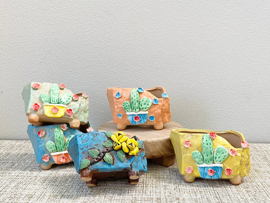 Cactus and Flower Pots