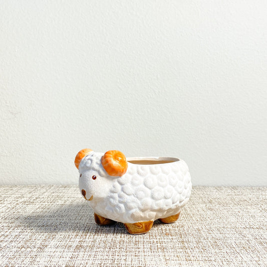 Cute Sheep Pot With Swirly Horns