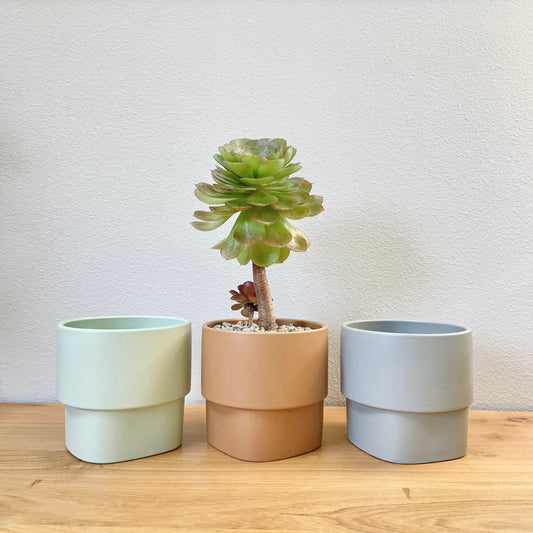 Minimalistic Round Pot