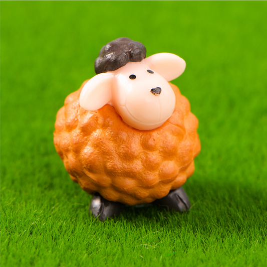 Energetic Miniature Sheep