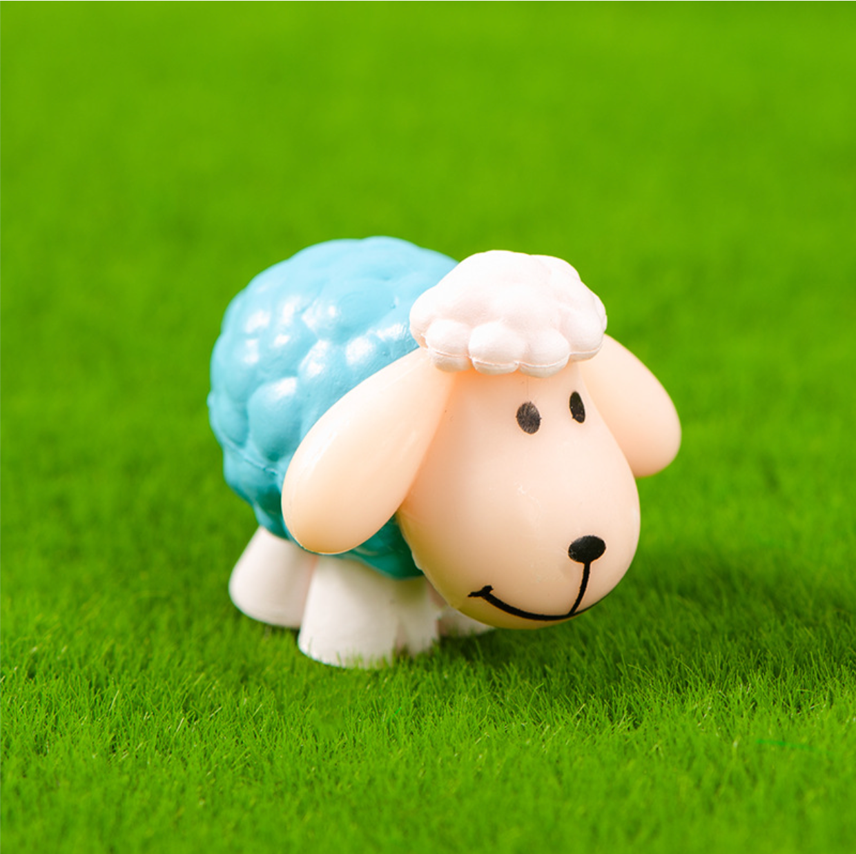 Energetic Miniature Sheep