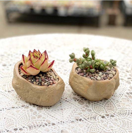 Ceramic Rock Planters