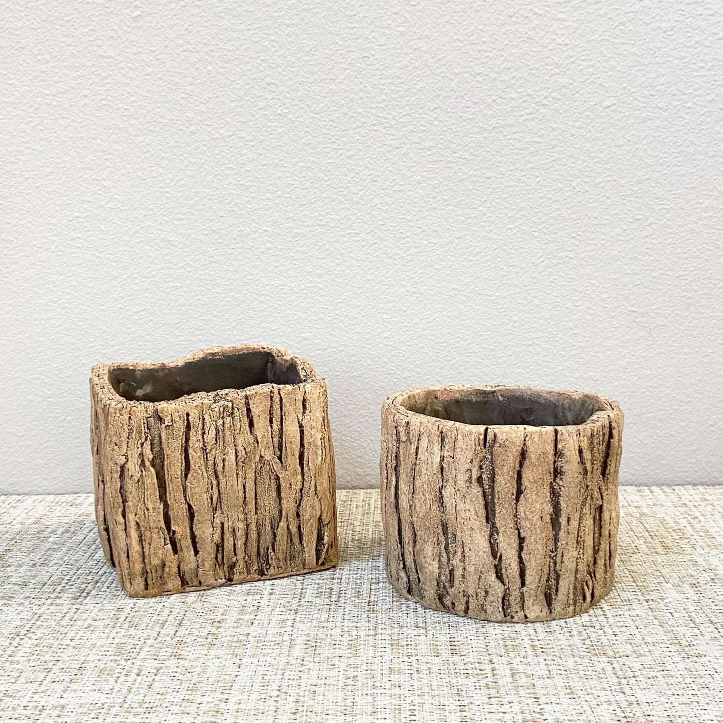 Stump Succulent Planter