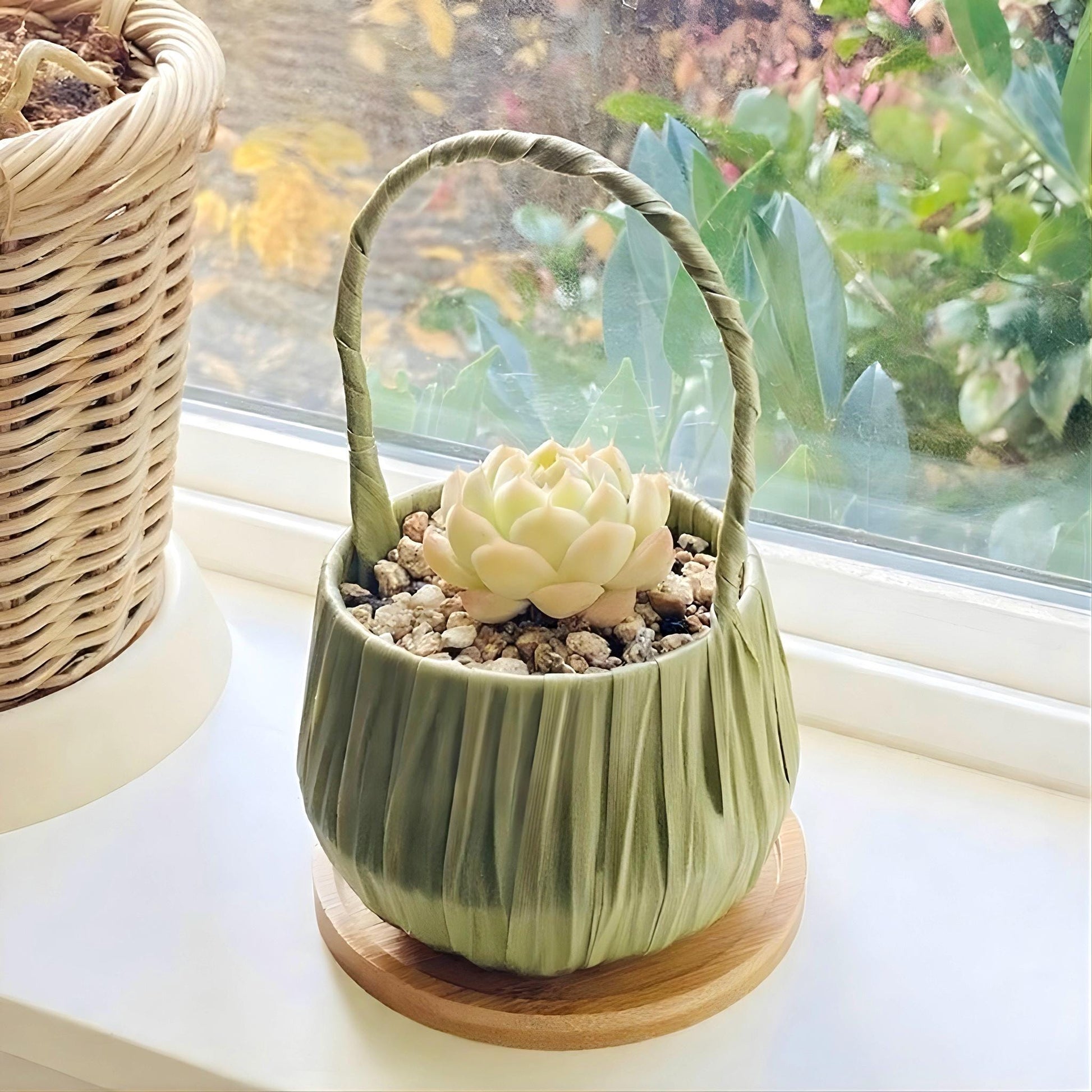 succulent gift basket Succulent Gift Basket
