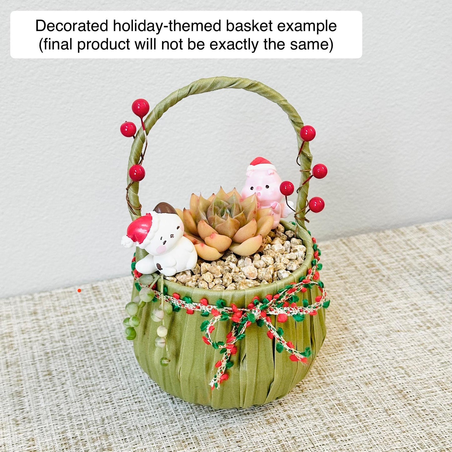 Succulent Gift Basket