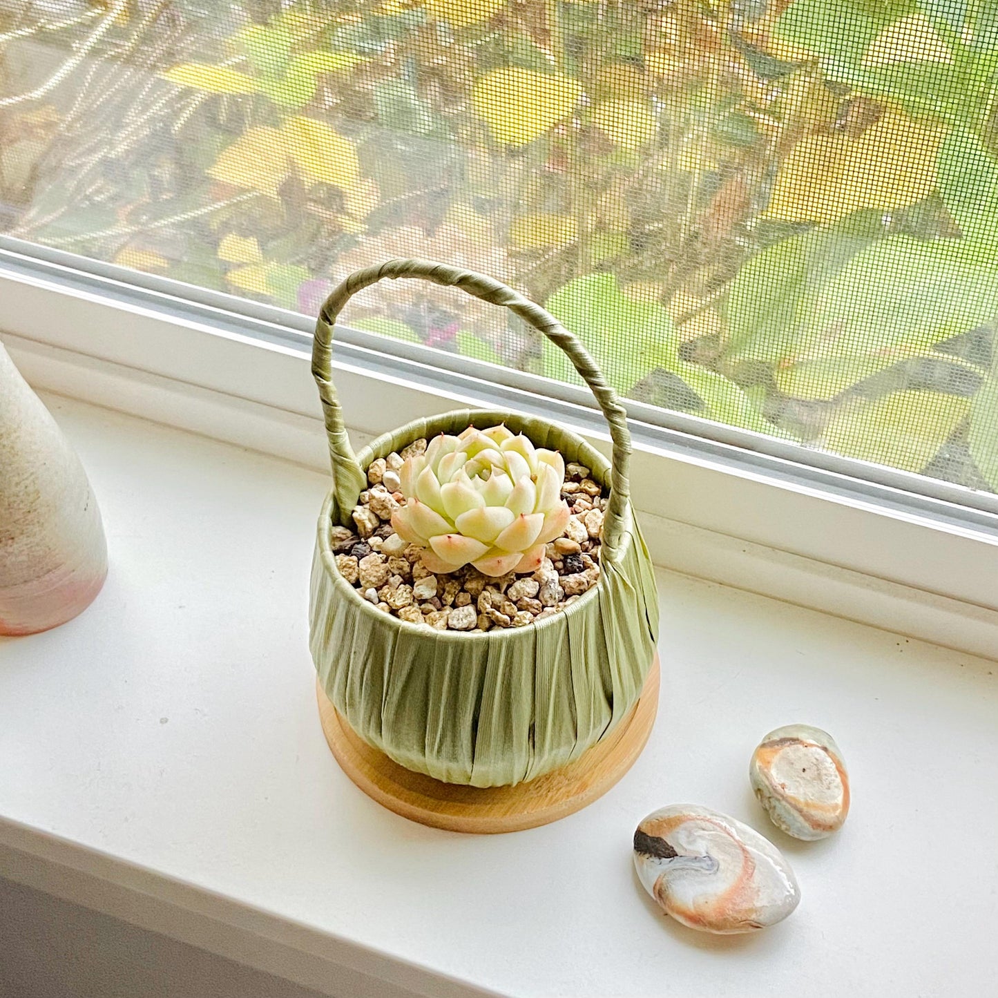 Succulent Gift Basket