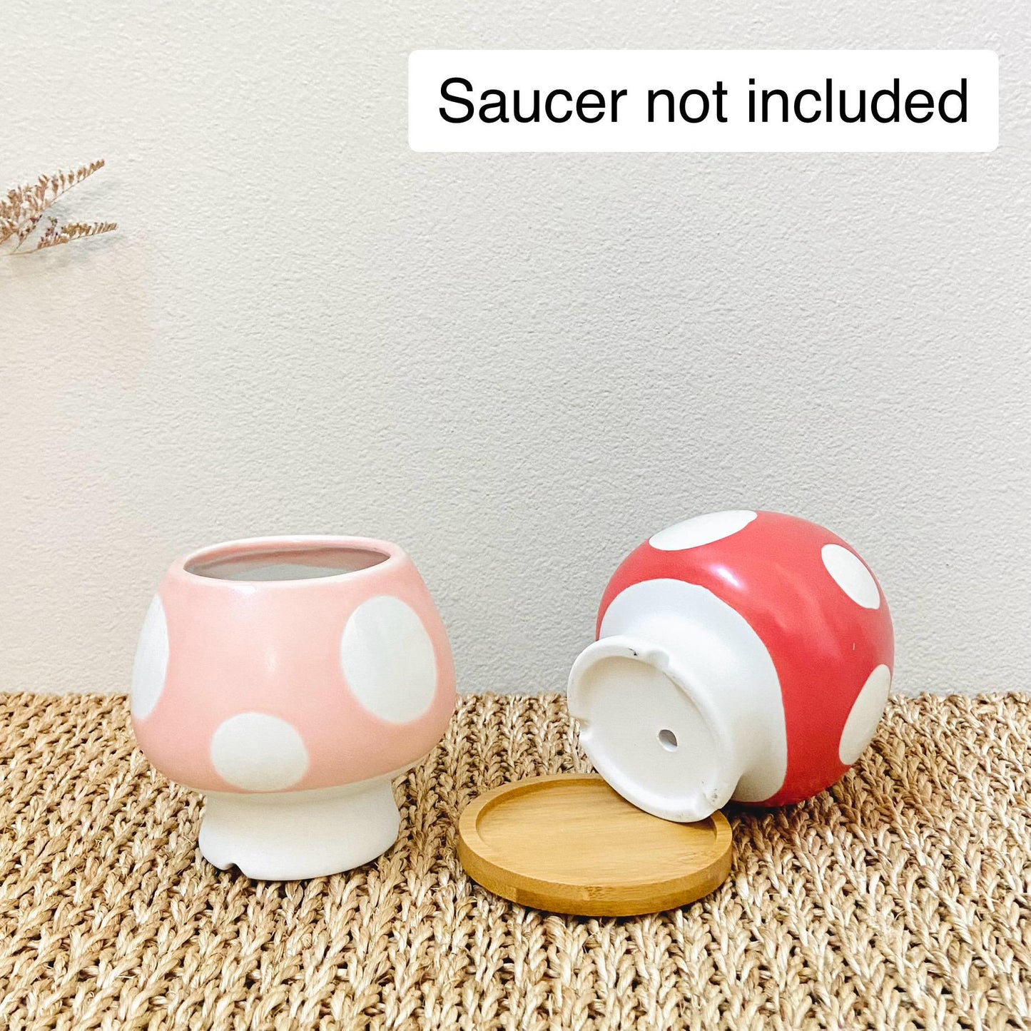 Ceramic Mushroom Planter