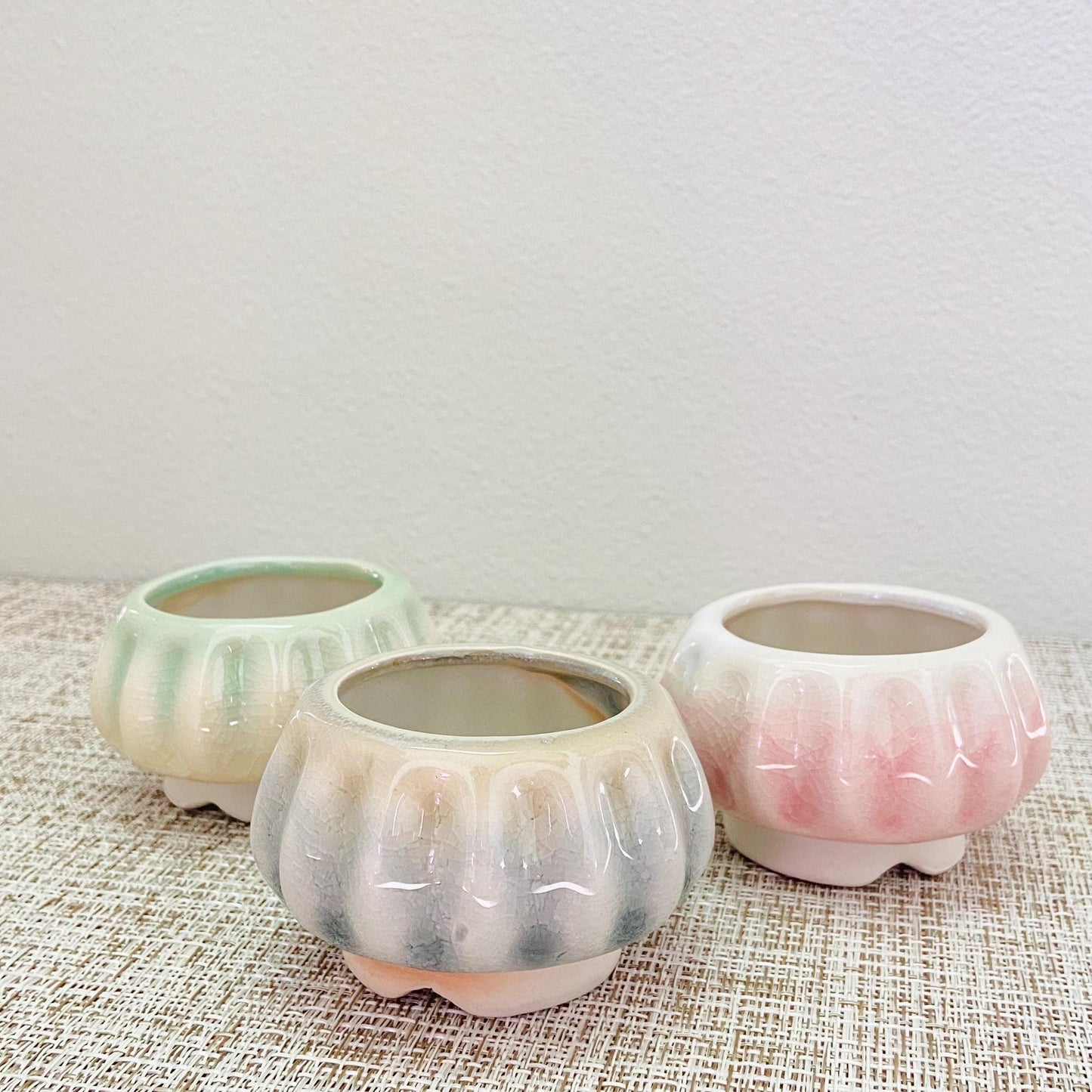 Jellyfish Pots, Set of 3