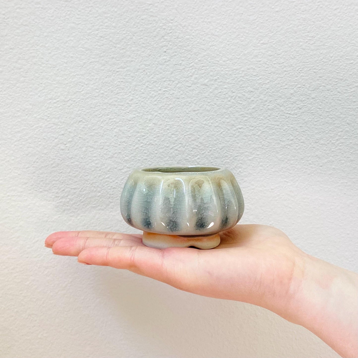 Jellyfish Pots, Set of 3