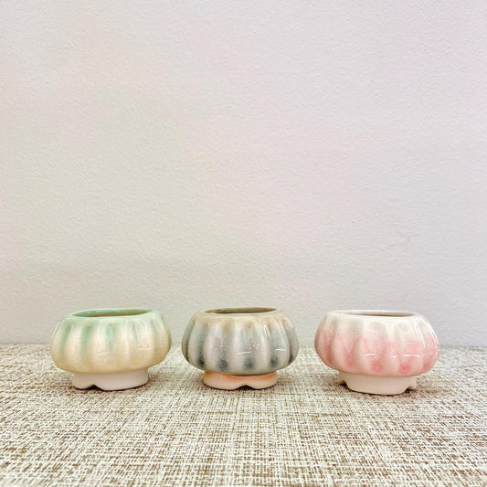 Jellyfish Pots, Set of 3
