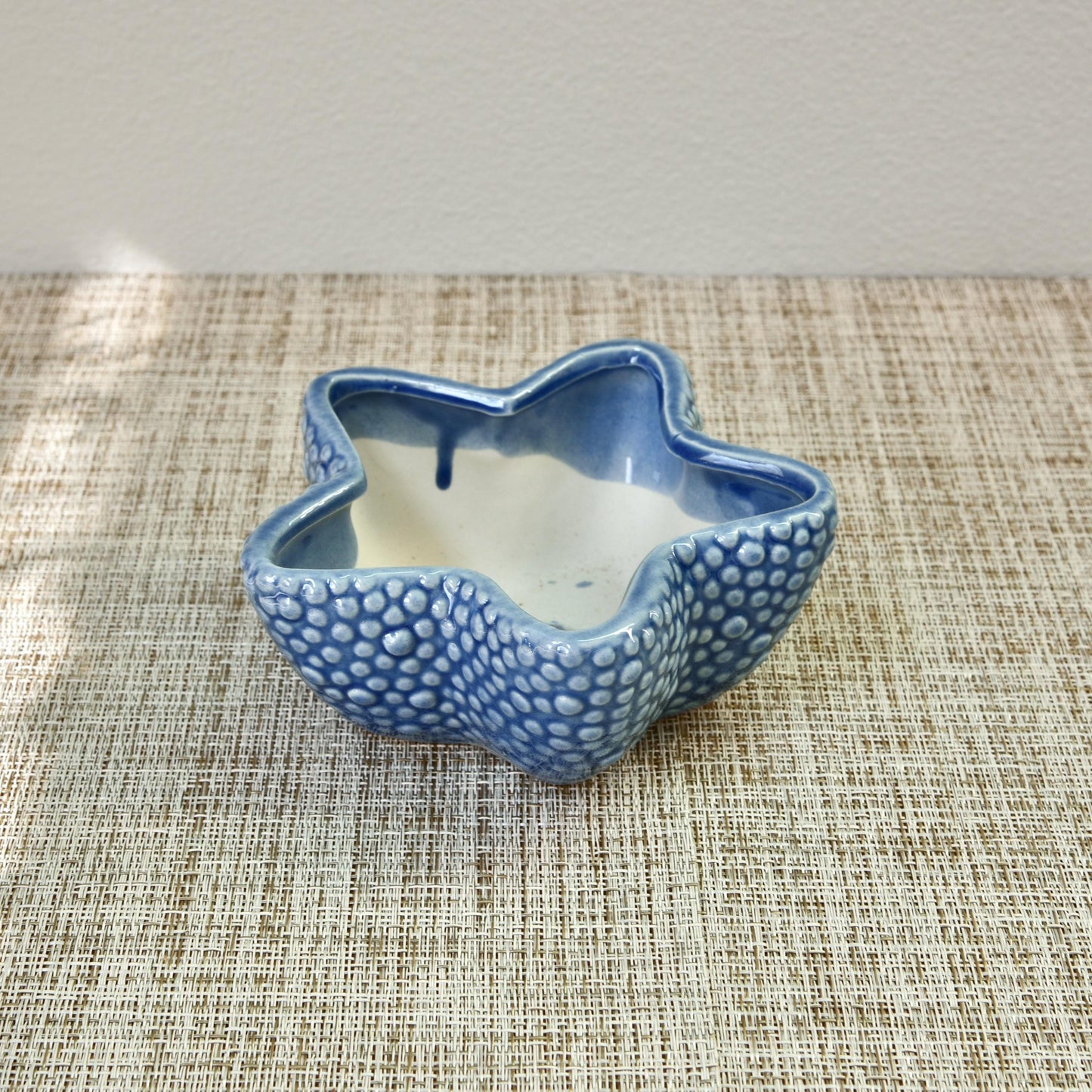 Sea Shell Planter Collection