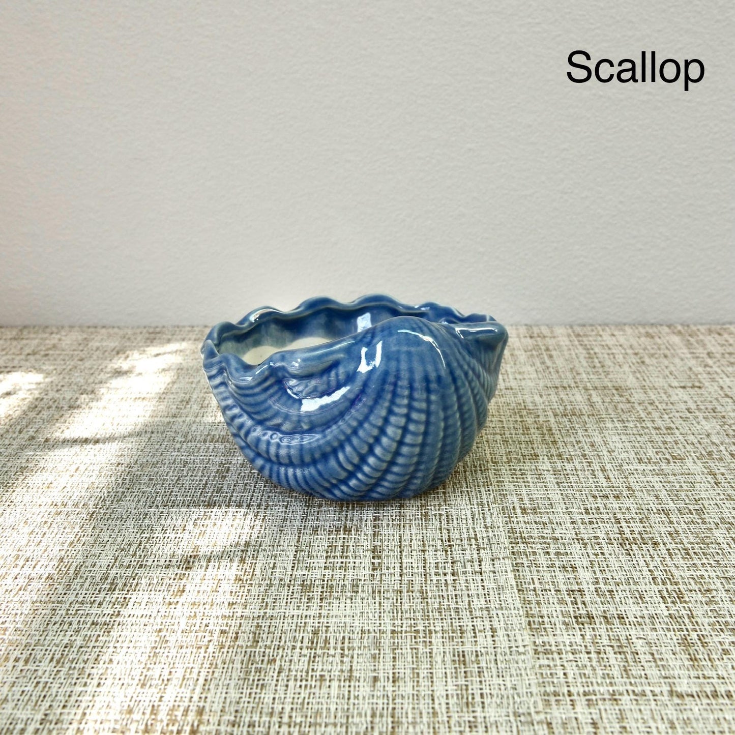 Sea Shell Planter Collection