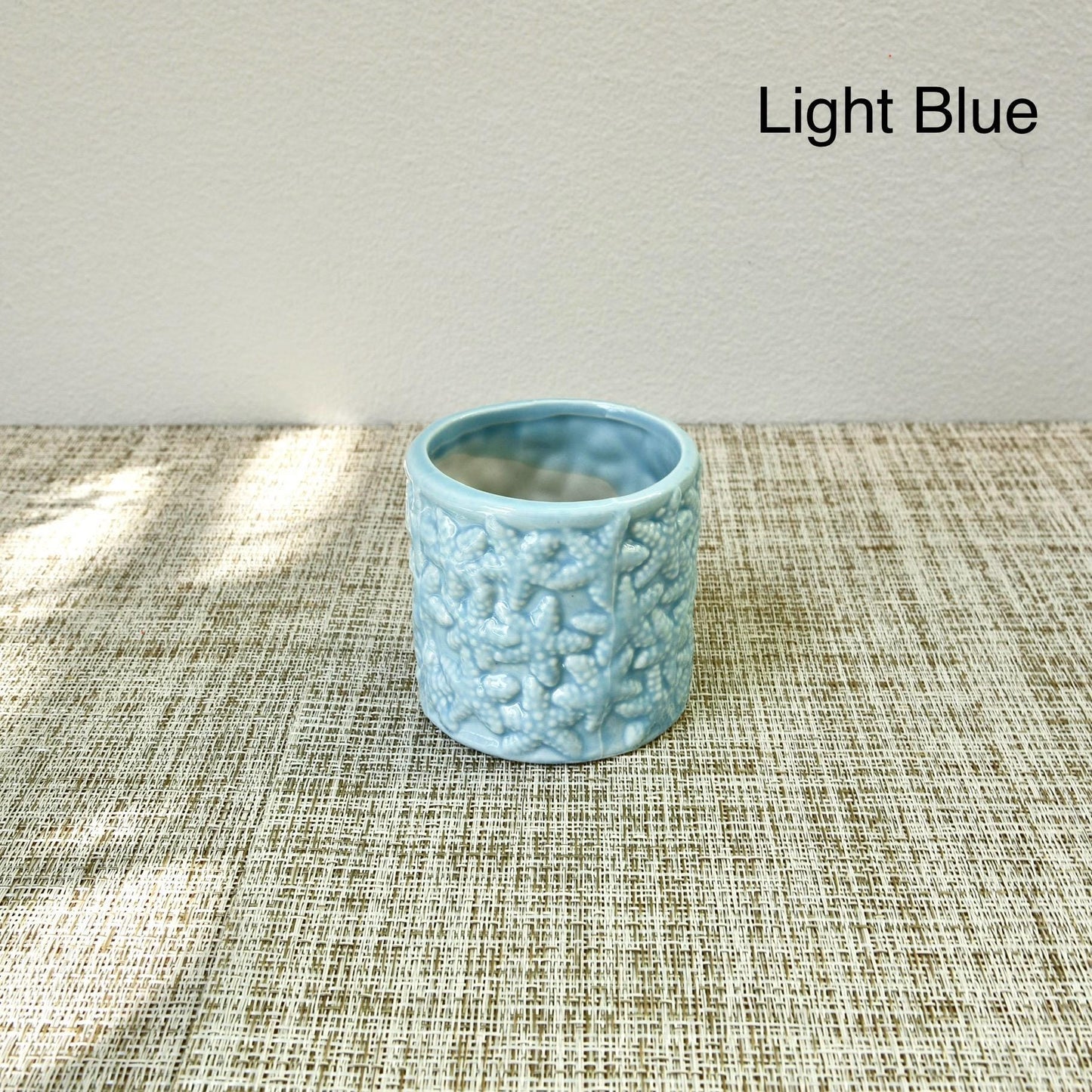 Sea Shell Planter Collection