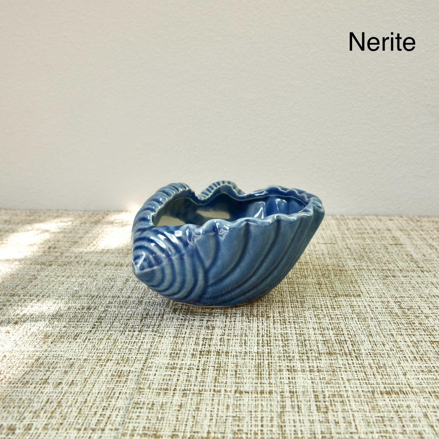 Sea Shell Planter Collection