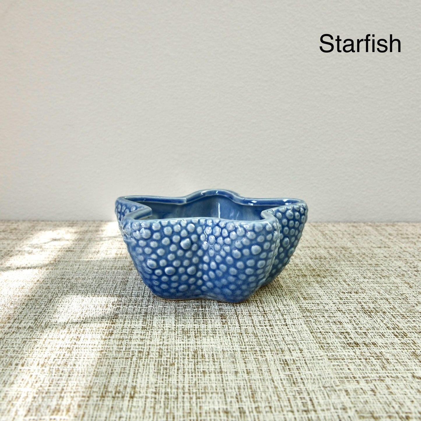 Sea Shell Planter Collection