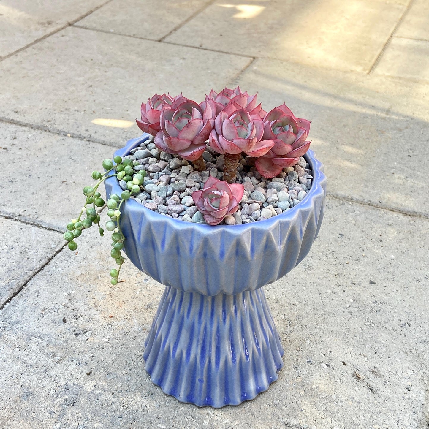 Blue Ribbed Ceramic Planter
