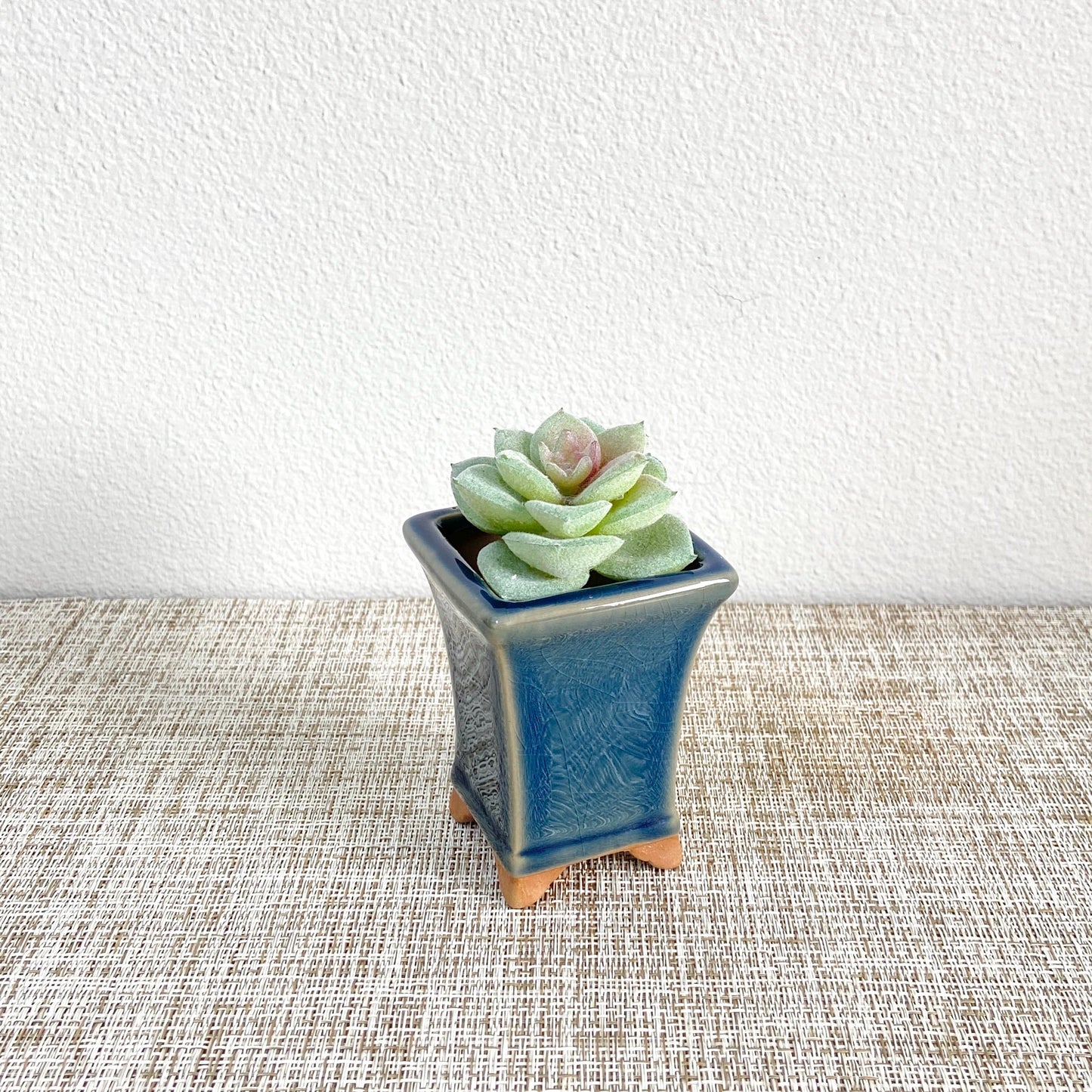 Mini Bosai-Inspired Pots, Set of 3