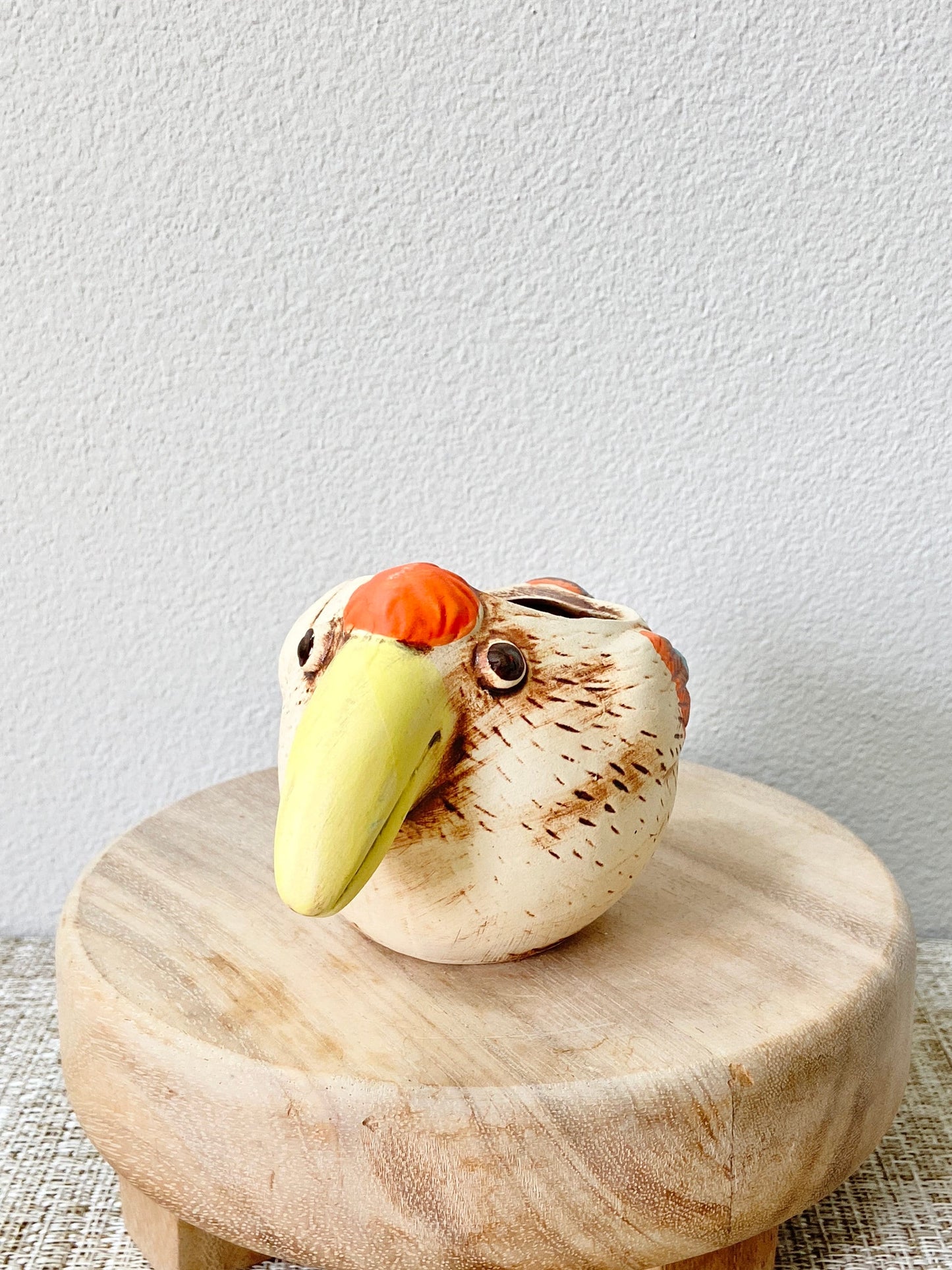 Small Toucan Pot