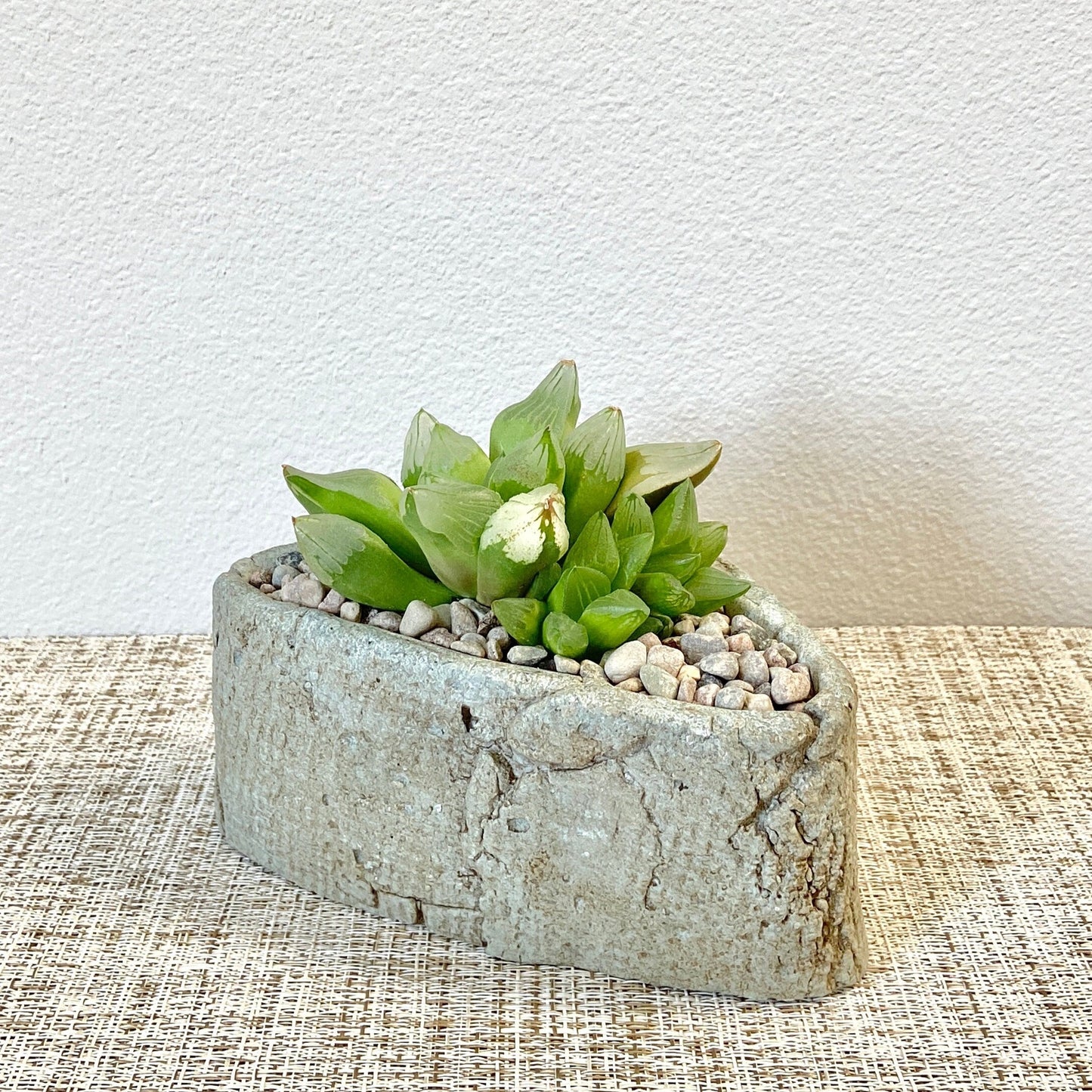 Imitation Stone Pot Made From Cement