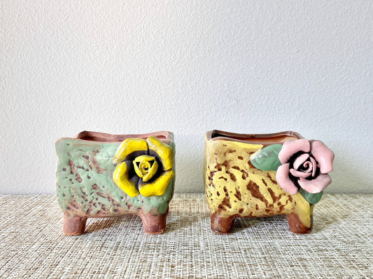 Set of 2 Succulent Pots | Green and Yellow Pots | Drainage Included